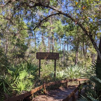 Turkey Creek Sanctuary - Parks Near Me - Palm Bay, Florida Turkey Creek Sanctuary - Parks Near Me - Palm Bay, Florida