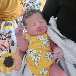 Natural Birth Center & Women's Wellness - Hello