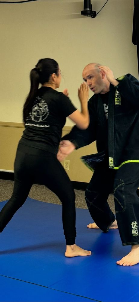 Bakersfield Elite Martial Arts Logo