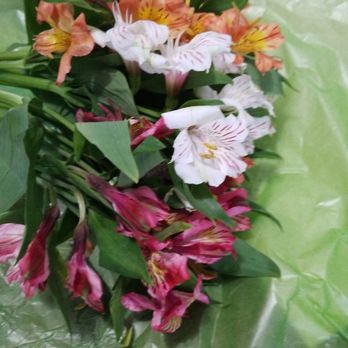 Hibiscus Flowershop - "100 bloom" chile please... - Florists Near Me - Brooklyn, New York