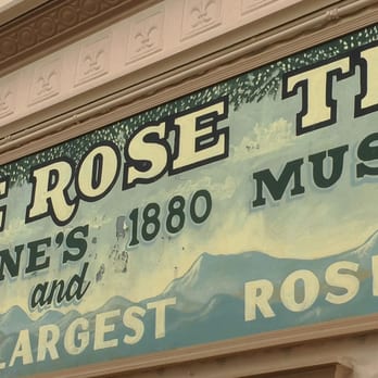 Rose Tree Museum and Books - Museums Near Me - Tombstone, Arizona Rose Tree Museum and Books - Museums Near Me - Tombstone, Arizona
