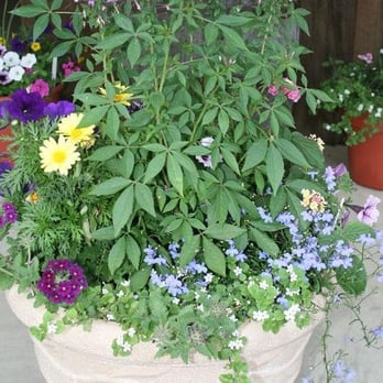 Weaver's Market on Garden - Nurseries & Gardening Near Me - Elmer, New Jersey