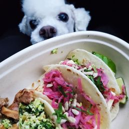 Grilled Chicken Taco & Asadero Cheese Taco Grilled Chicken Taco & Asadero Cheese Taco