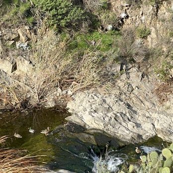 Paradise Falls - Ducklings! - Hiking Near Me - Thousand Oaks, California Paradise Falls - Ducklings! - Hiking Near Me - Thousand Oaks, California