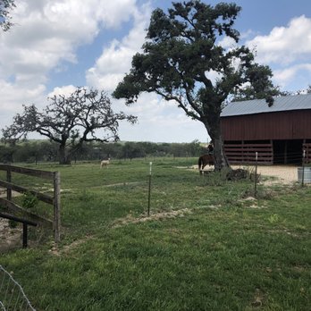 Saint Tryphon Farm & Vineyards - Wineries Near Me - Boerne, Texas Saint Tryphon Farm & Vineyards - Wineries Near Me - Boerne, Texas