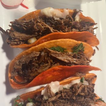 Don Tequila - Close up of Birria Tacos - tortillas were overcooked - Mexican Near Me - Winston-Salem, North Carolina