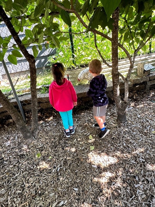 Melody's Munchkins Little Blossoms - childcare center in Portland, OR