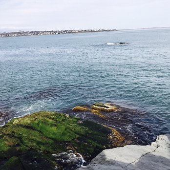 Cliff Walk - Beautiful Atlantic Ocean from the Cliff walk - Parks Near Me - Newport, Rhode Island