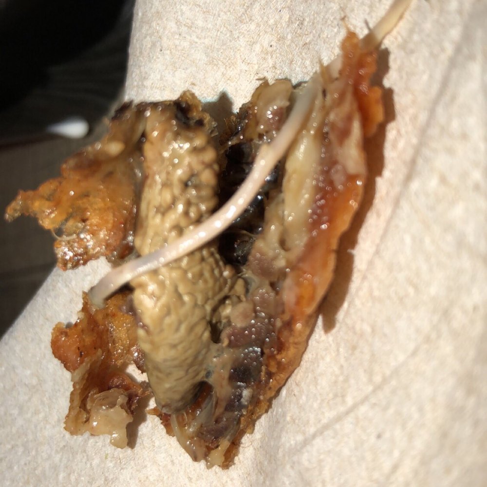 Pizza Ranch - the inside of a burrito - Pizza Near Me - Watertown, Wisconsin Pizza Ranch - the inside of a burrito - Pizza Near Me - Watertown, Wisconsin