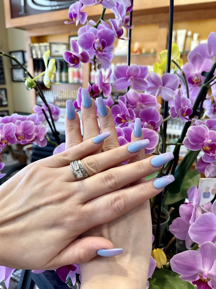 VIVA NAILS 14 Photos 7420 W North Ave, Elmwood Park, Illinois