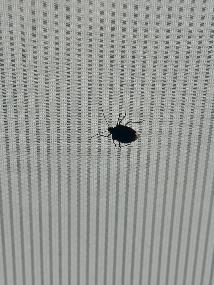 Holiday Inn & Suites Ann Arbor Univ. Michigan Area - wedding in Ann Arbor, MI