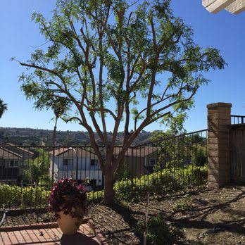 Environmental Green Tree Care - Tree Services Near Me Environmental Green Tree Care - Tree Services Near Me