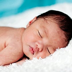 Life Prints Portrait Design - Newborn Portrait Photography