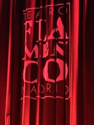 Teatro Flamenco Madrid by null