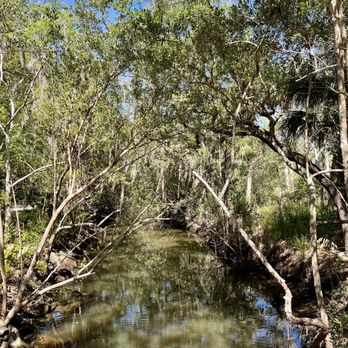 Hammock State Park - Another water view. - Hiking Near Me - Dunedin, Florida