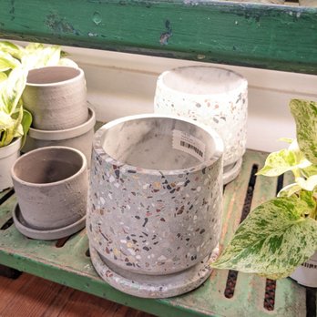 Ceremony Botanical Studio - Beautiful pots. - Nurseries & Gardening Near Me - Wimberley, Texas Ceremony Botanical Studio - Beautiful pots. - Nurseries & Gardening Near Me - Wimberley, Texas