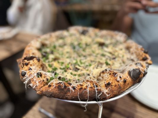 Bungalow by Middle Brow by null