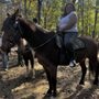 Photo of Country Time Equestrian