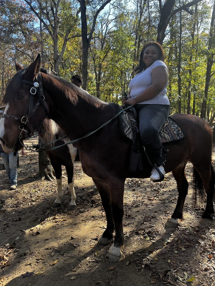 Country Time Equestrian - equestrian in Indian Trail, NC