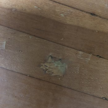 Bella's Flooring - Two colors of wood filler in one spot. - Flooring Near Me - Seattle, Washington