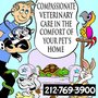 Photo of Bruce Lowenstein, DVM - Veterinary House Calls