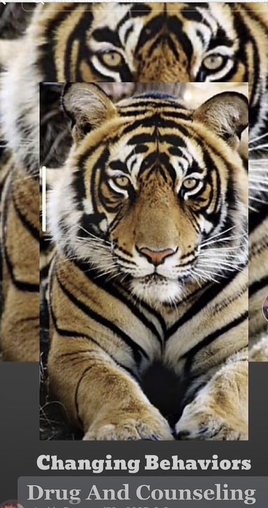 Changing Behaviors - grief counselor in Caldwell, ID