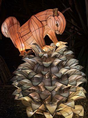 Mounts Botanical Garden by null