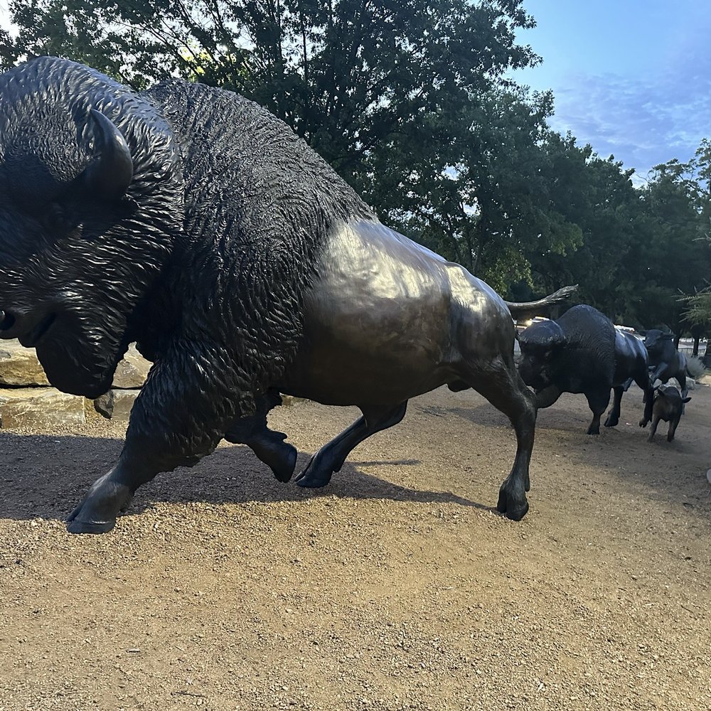 LaFortune Park - Buffaloes - Parks Near Me - Tulsa, Oklahoma LaFortune Park - Buffaloes - Parks Near Me - Tulsa, Oklahoma