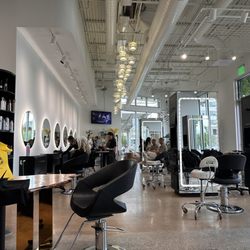 Shampu - Interior