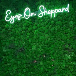 Eyes On Sheppard - Eyes On Sheppard