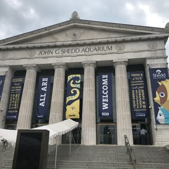 Shedd Aquarium - Aquariums Near Me - Chicago, Illinois Shedd Aquarium - Aquariums Near Me - Chicago, Illinois