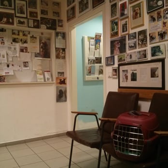 Tierarzt Dr. Mattke - Warteraum - Veterinarians Near Me - Berlin, BE Tierarzt Dr. Mattke - Warteraum - Veterinarians Near Me - Berlin, BE