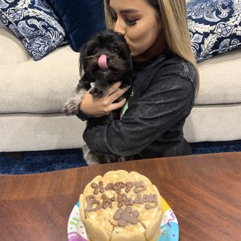 main place dog store