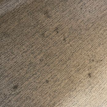 Best Western Plus Island Palms Hotel & Marina - carpet stains - San Diego, CA