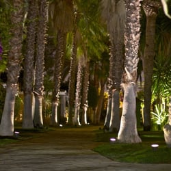 El Oasis - La magia nocturna de El Oasis.