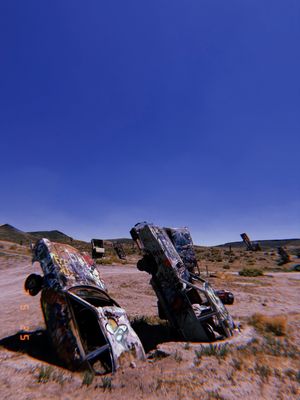 The International Car Forest by null