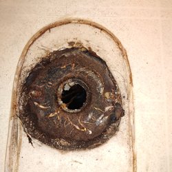 Darrels Drain Cleaning