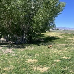 Out Of Town Park - Fernley out of town dog park