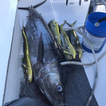Magic Sport Fishing - Boating Near Me - Honolulu, Hawaii