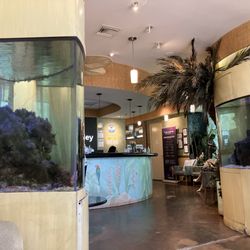 Coachella Valley Imaging - My relaxed view from the corner of the lobby/waiting area.