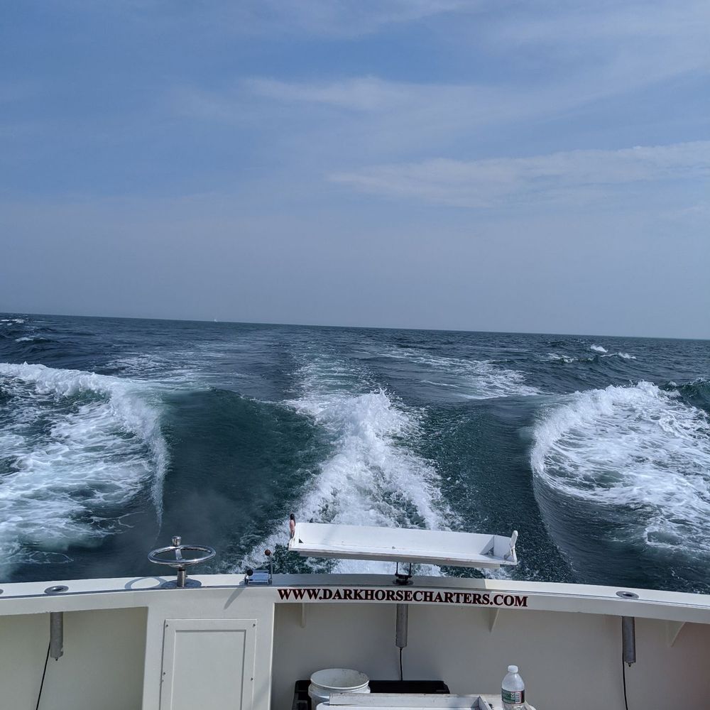 Dark Horse Charters - Boat Charters Near Me Dark Horse Charters - Boat Charters Near Me