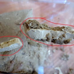 Baza Gourmet Food & Spirits - Local HALVA - teeth killer!