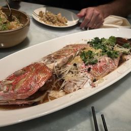 Sizzling Red snapper
