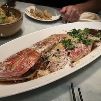 Choy - Sizzling Red snapper - Chinese Near Me - Nashville, Tennessee
