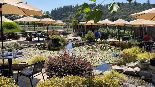 Salt & Stone by null