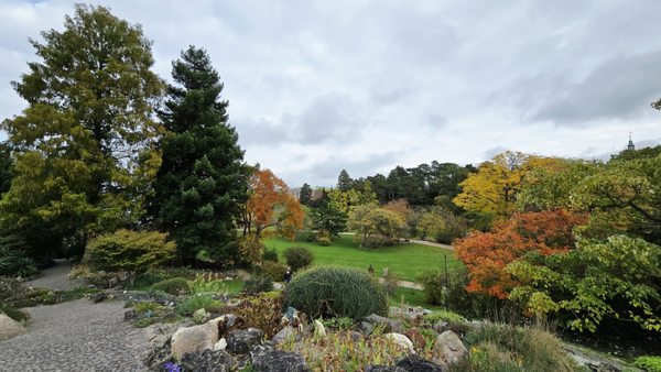 Botanical Garden by null Botanical Garden by null