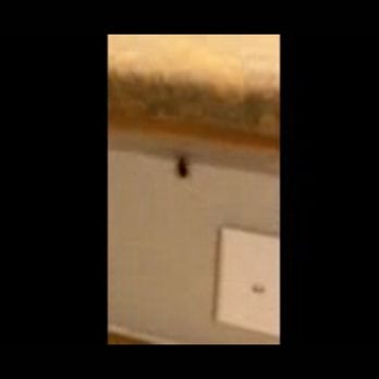 Still Waters Resort - Roaches - Resorts Near Me - Branson, Missouri Still Waters Resort - Roaches - Resorts Near Me - Branson, Missouri