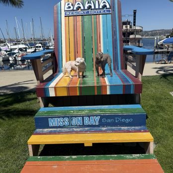 Bahia Resort Hotel - The dogs loved it! - San Diego, CA