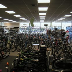 We have bikes for many types of riding!
