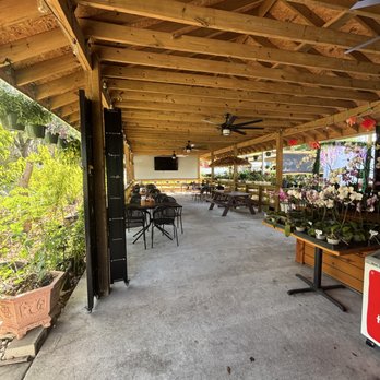 Amie's Garden - Nurseries & Gardening Near Me - Plant City, Florida Amie's Garden - Nurseries & Gardening Near Me - Plant City, Florida
